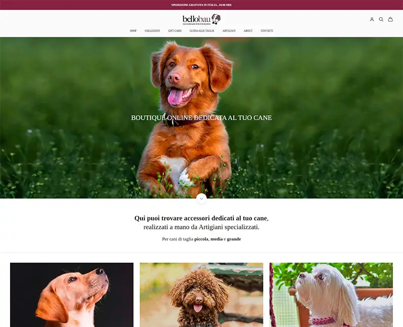Bello Bau e-commerce project featuring website design and SEO optimization