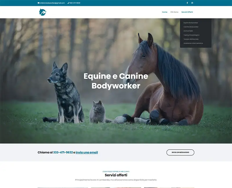 Equine Bodyworker project showcasing website design and SEO optimization